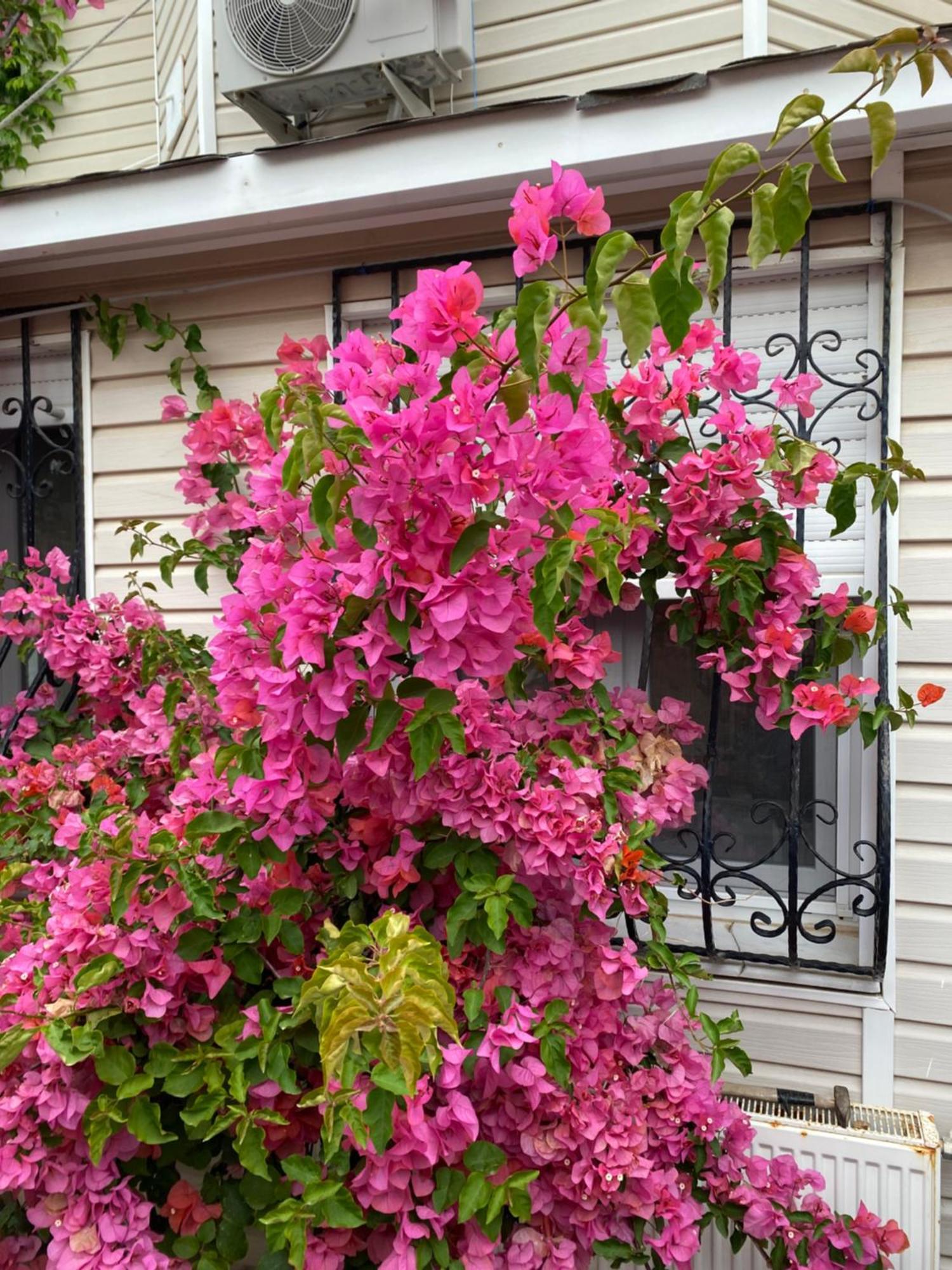 Villa Inci Кешме Экстерьер фото